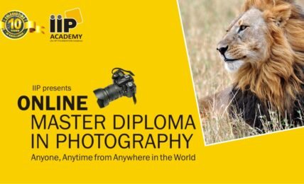 Online master Diploma in Photography
