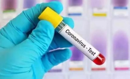 Corona PCR Fake Test